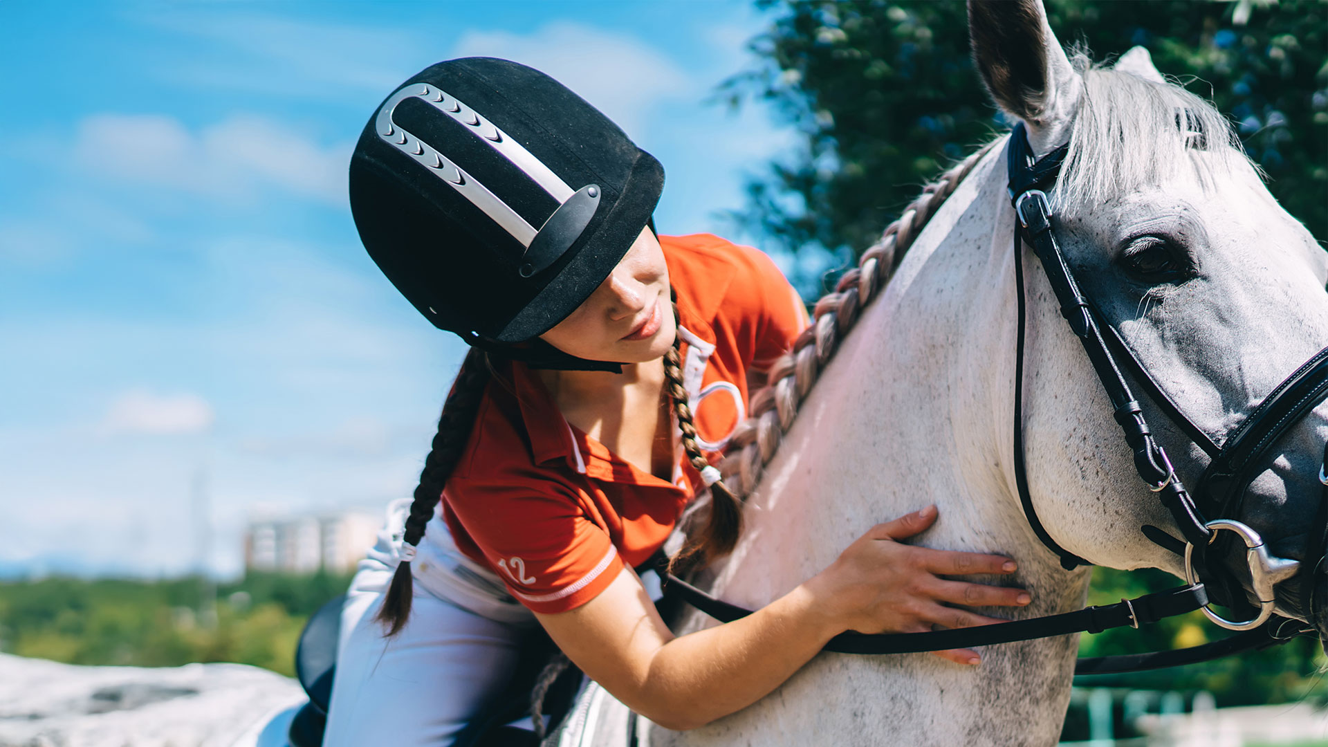 Excel and Excel Plus